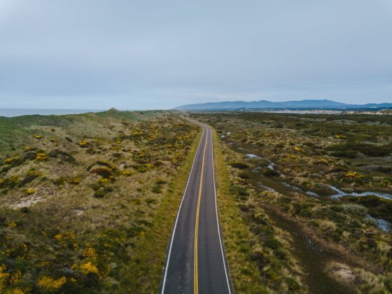 pexels-photo-12258844
